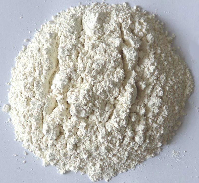 Dehydrated Garlic Powder (factory supply)