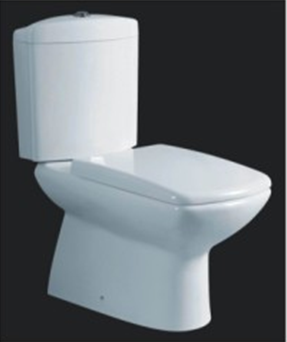 Washdown close coupled toilet