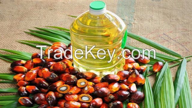 Palm Oil 