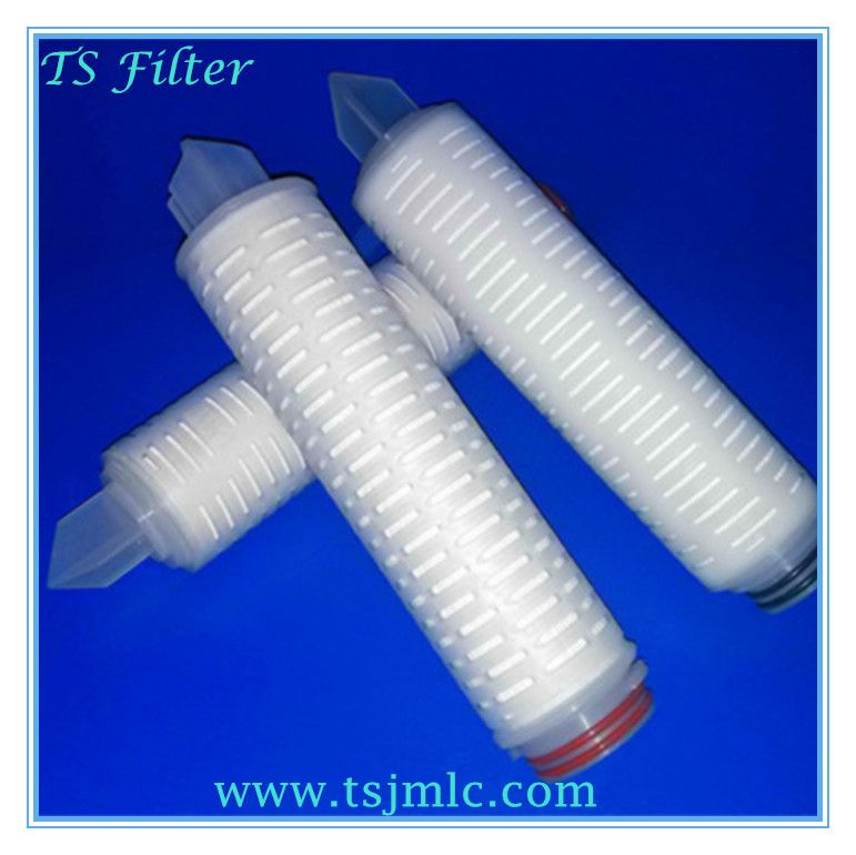 Polyethersulphone / IPS Membrane pleated filter cartridge