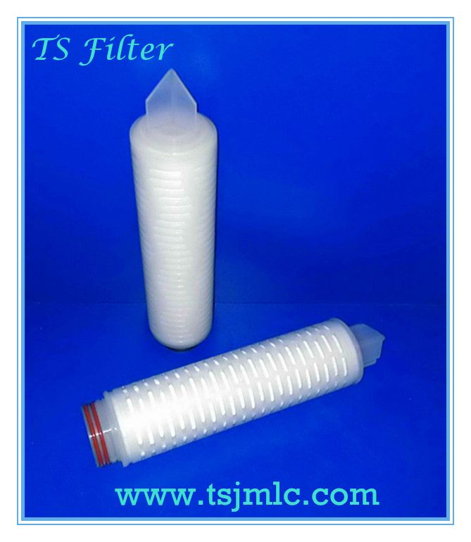 Polyethersulphone / IPS Membrane pleated filter cartridge
