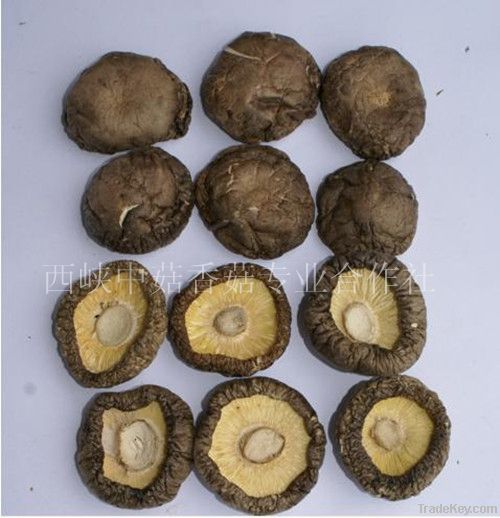 Chinese Dried Mushroom