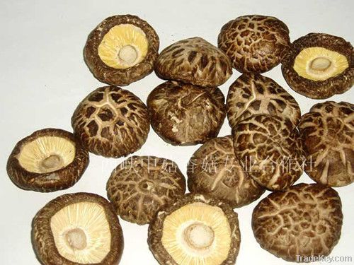 Chinese Dried Mushroom