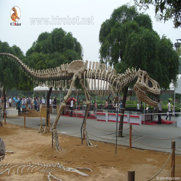 dinosaur skeleton model