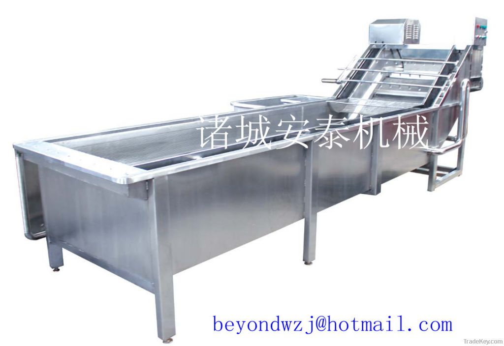 fruit and vegetable wasing machine