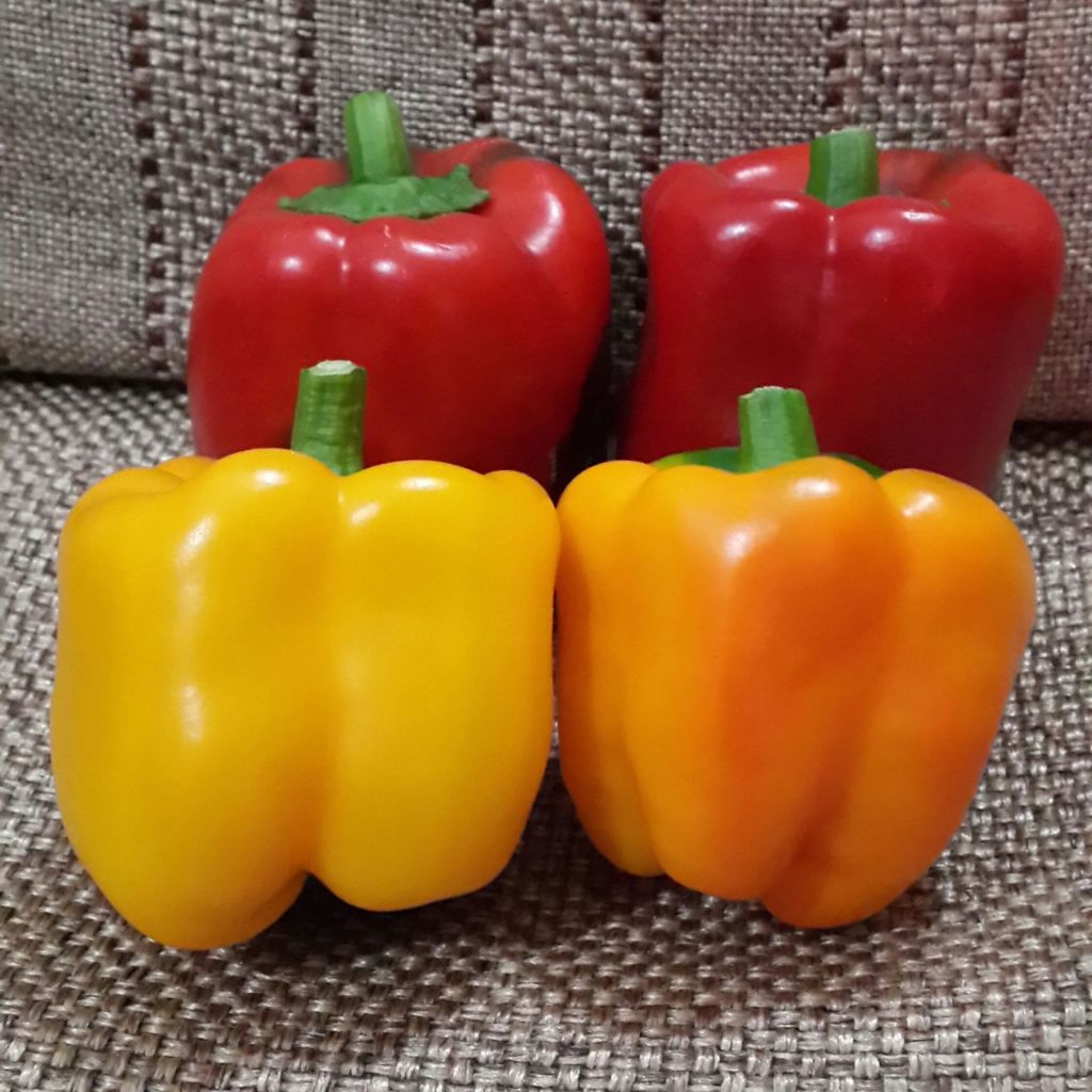 Color Capsicum Red, Yellow