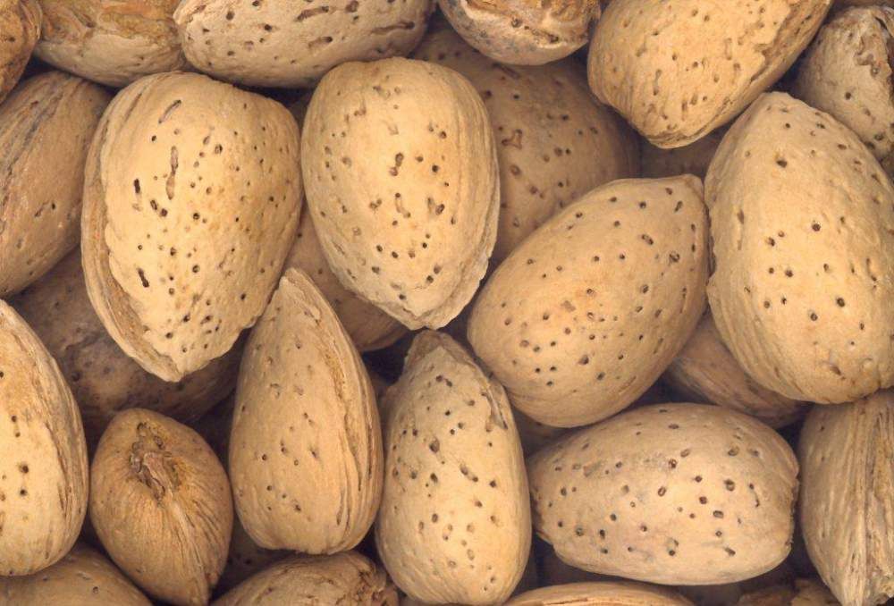 Almonds