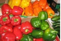 Fresh Pepper Green, Red, Yellow  for Sale