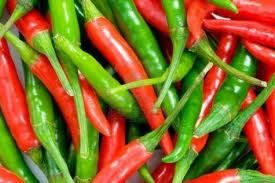 Chili Pepper Red & Green for sale