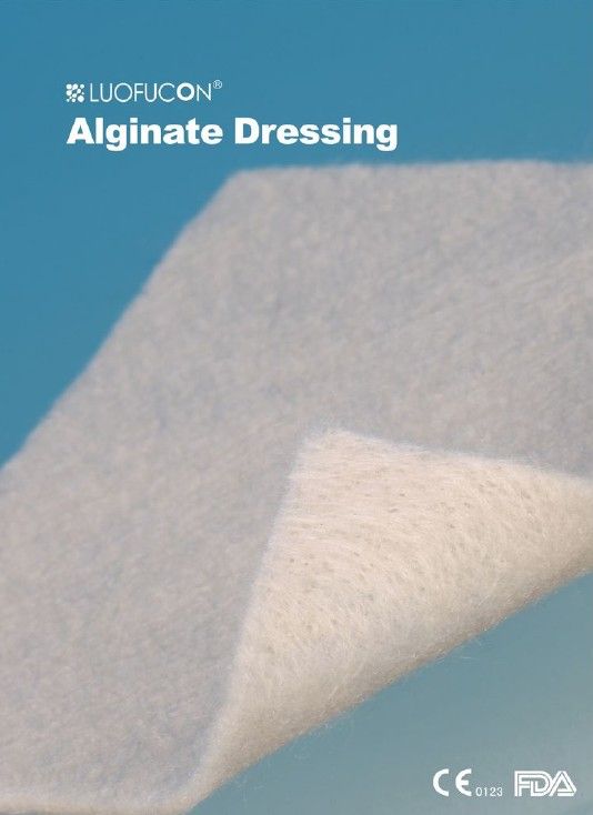 Non-Adhesive Alginate Wound Dressing