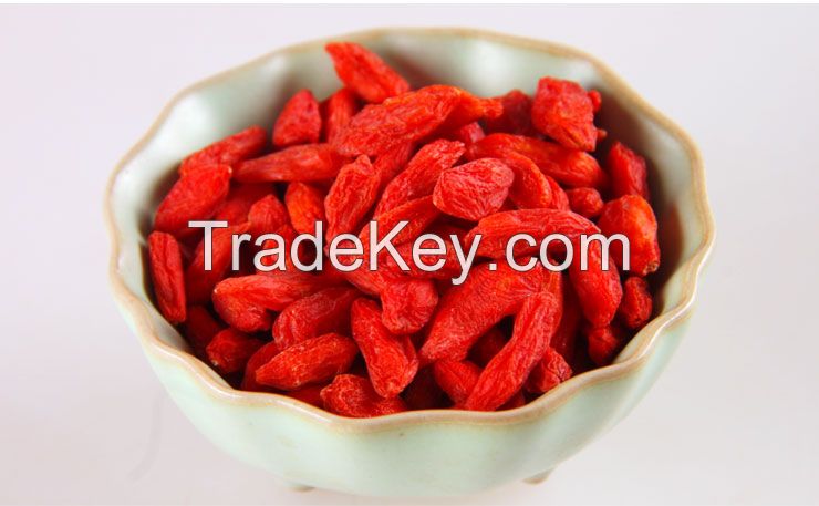 Goji berries dried fruit conventional goji berries and organic goji berries