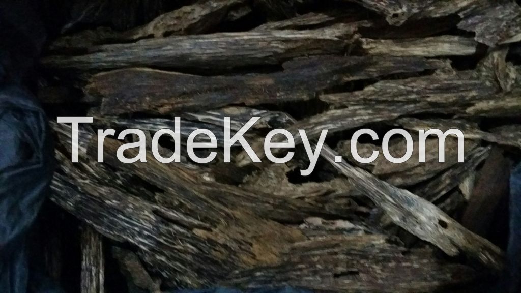 Agarwood Oud Oudh Chips