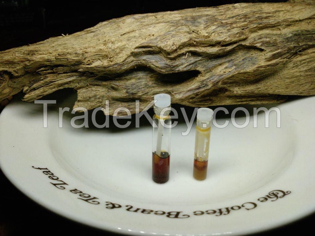 Wild Harvested Agarwood From Malaysia