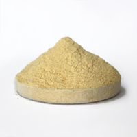 Seabuckthorn Powder