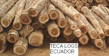 Teca Wood; Teak Wood
