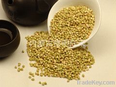 Green Buckwheat Kernels