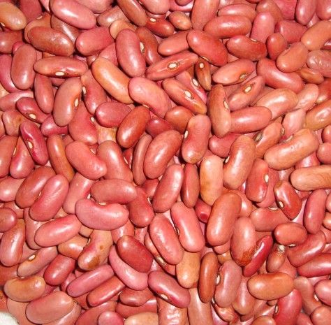 Light Red Kidney Beans,kidney beans importers,kidney beans buyers,kidney beans importer,buy kidney beans,kidney beans buyer,import kidney beans