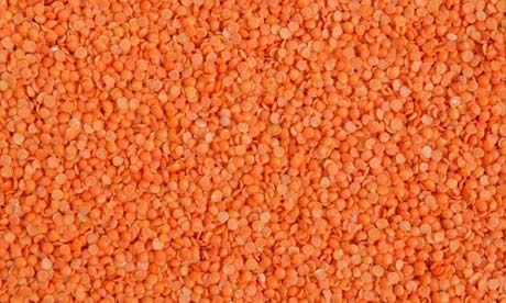 green lentils importers,green lentils buyers,green lentils importer,buy green lentils,green lentils buyer,import green lentils