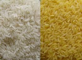 long grain rice importers,long grain rice buyers,long grain rice importer,buy long grain rice,long grain rice buyer,import long grain rice