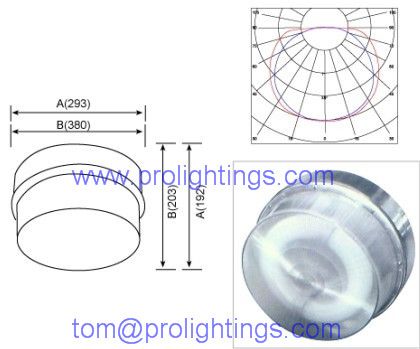 Electrodeless lamp induction ceiling light XD-6
