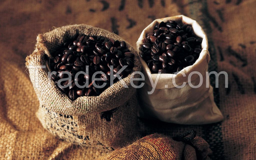 Arabica coffee beans