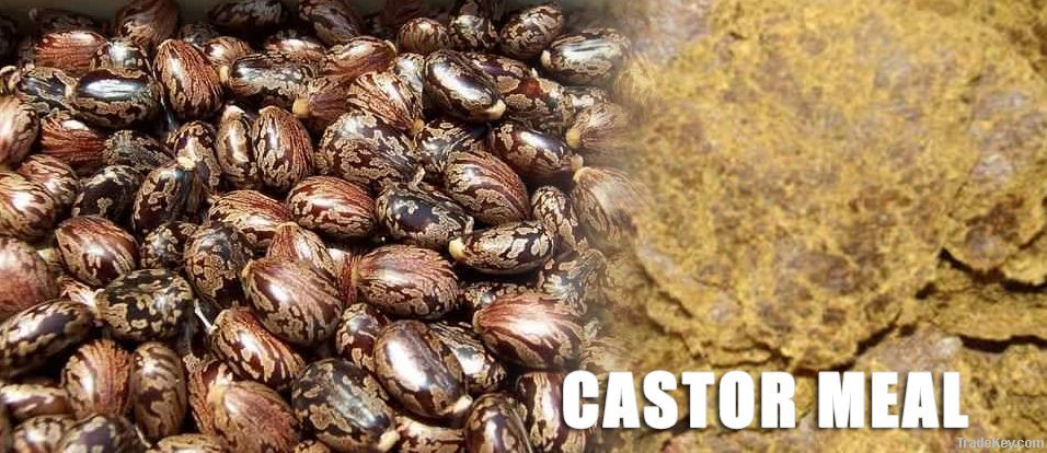 Castor Meal