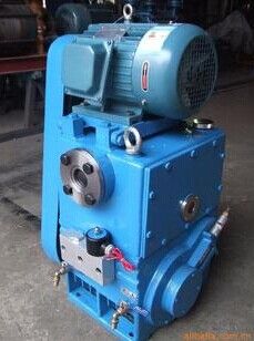 Rotary Plunger Pump used for Vacuum Coating