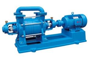 Single Grade Water Loop Pump used for Food Industry Vacuum Impregnation Process