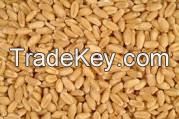 Wheat, Barley, Refined corn