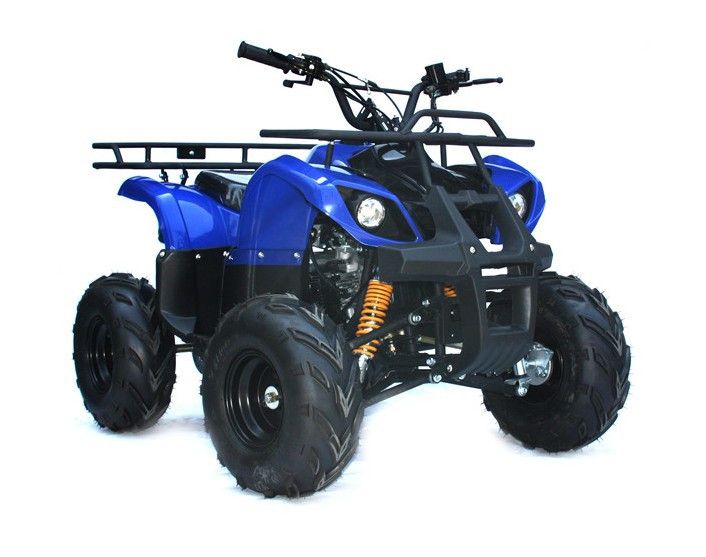 Atv/ Quad Bike/ Farm Atv With Free Shipping