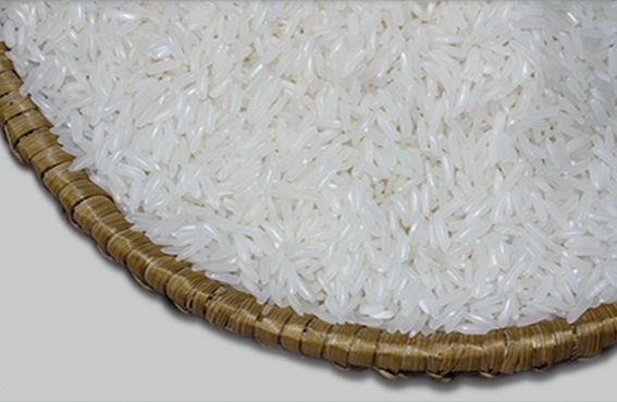 JASMINE RICE