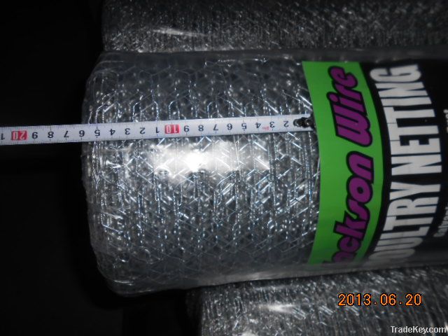 Galvanized Hexagonal Wire Mesh