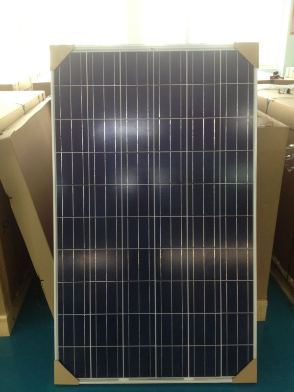 solar pv module/ big and best vendor/with A grade and high quality