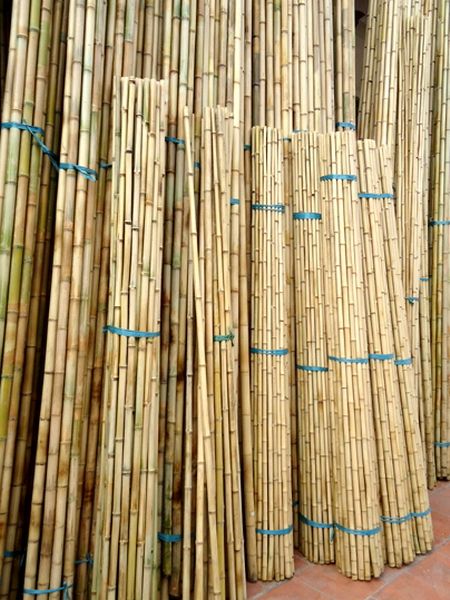 Bamboo poles from Viet nam