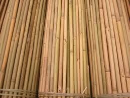 Bamboo poles from Viet nam