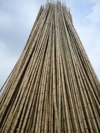 Bamboo poles from Viet nam