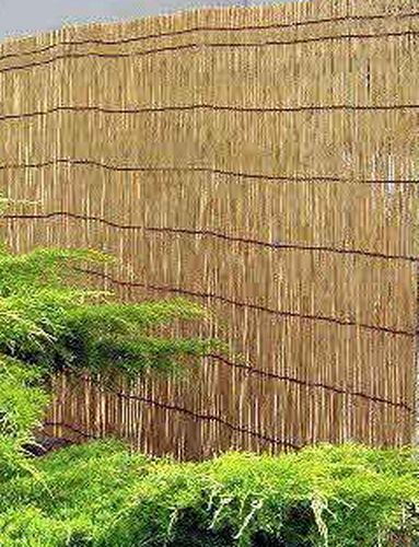 large bamboo fences