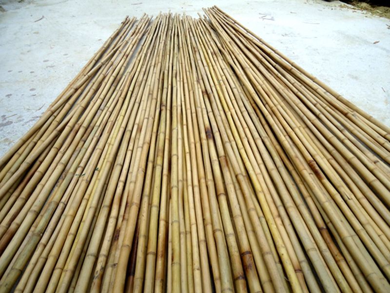 Bamboo poles from Viet nam