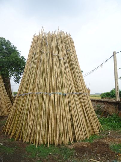 cheap bamboo poles
