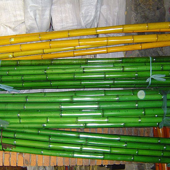 Bamboo poles color
