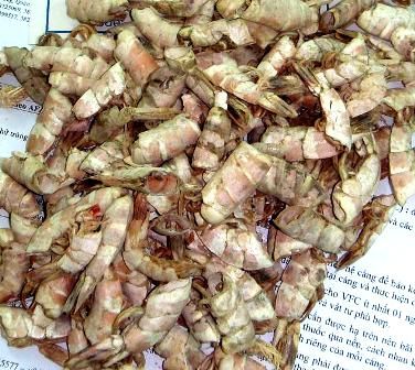 Dried Shrimp Shell