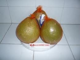 Sell Fresh Pomelo 