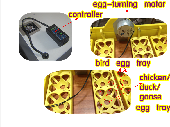 2013 newest design hot sale 528 chicken/goose/duck eggs incubator or 2112 quail eggs incubator with CE approved, 3 years warranty