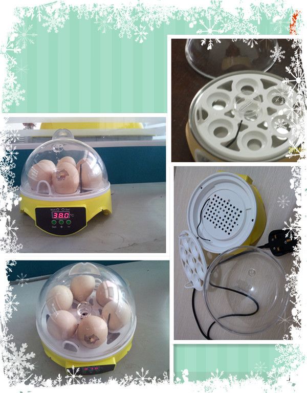 Best Christmas gift for children 7 chicken/quail eggs incubator fully automatic with reasonable price