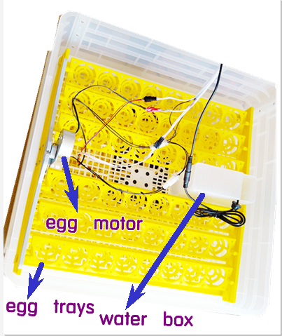 Hot sale chicken eggs incubator/264 quail eggs incubator with high quality and reasonable price