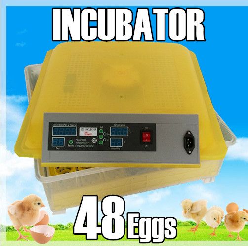 Newest Design Good Quality Egg Incubator Edward Patent Small 48 Eggs Incubator/Mini Egg Incubator With Full Automatic Control
