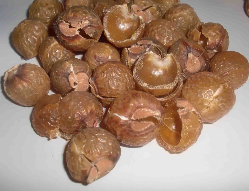 Himalayan Organics Soap berry shells