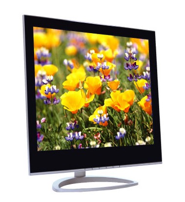 Dstar LCD monitor