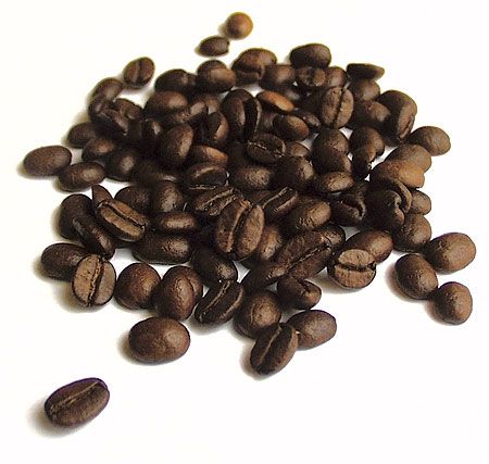 Roasted Coffee Bean from VietNam