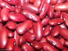 KIDNEY BEANS | COCOA POWDER | CHICKPEAS | RED BEANS | COCOA BEANS